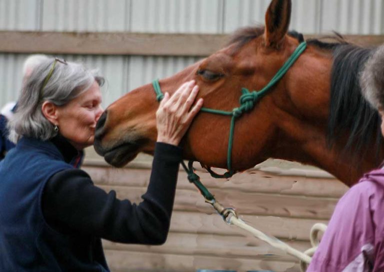 Jan Lytjen discovers her kinship with Mystic through their life-changing, heart-to-heart interactions. Peggy Hawkins photo
