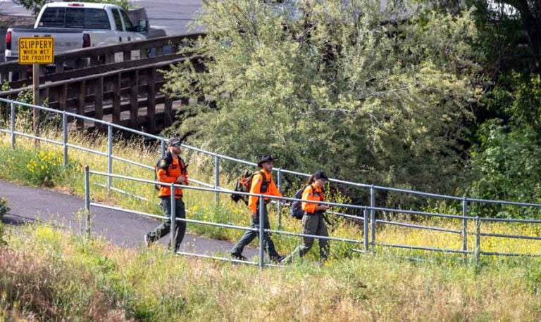 Jackson County Sheriff's Office Search & Rescue team members search the Bear Creek Greenway just north of South Valley View Road. Jackson County Sheriff's Office photo