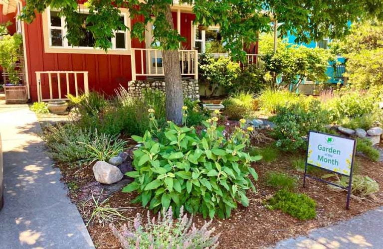 Kim Larson and David Minter’s garden at 128 E Nevada St. is the Ashland Garden Club’s Garden of the Month for July. Larry Rosengren photo