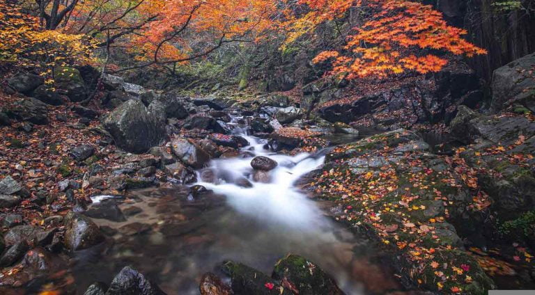 The flow of consciousness can go from tumbling rapids to still pools. Image by 춘성 강 from Pixabay