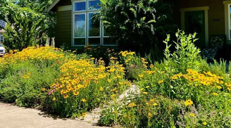 Jill Weston’s lovely garden at 994 Kestral Parkway is the Ashland Garden Club’s Garden of the Month for August. Larry Rosengren photo