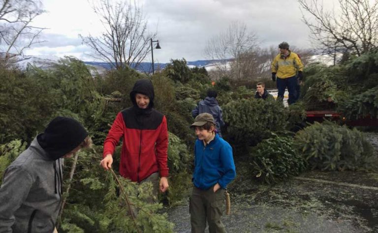 Ashland Scouts prepare to set up for a prior year's Christmas tree sale.