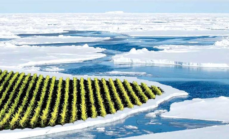 Greg Jones showed this fake, tongue-in-cheek image of a possible future vineyard as a result of climate change at a talk April 13 at Hannon Library.