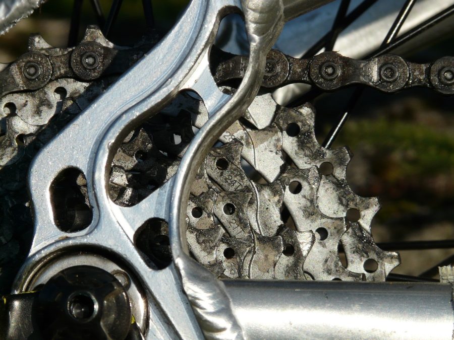 Bike Social + Skillshare