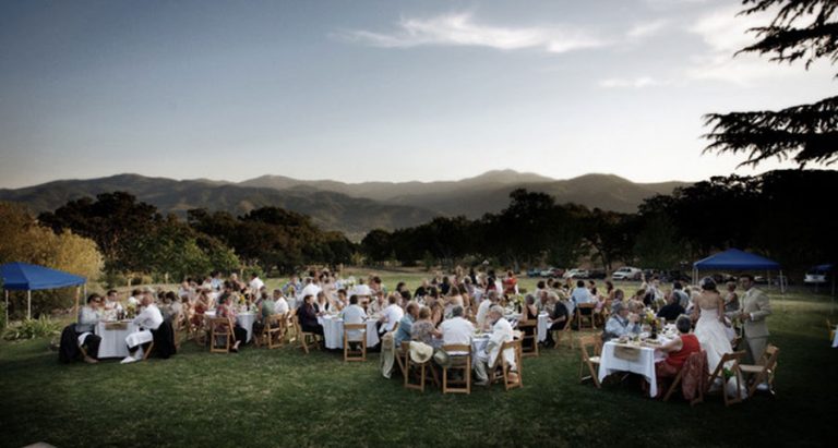 Members of a wedding party enjoy dining on the lawn at Grizzly Peak Winery.
