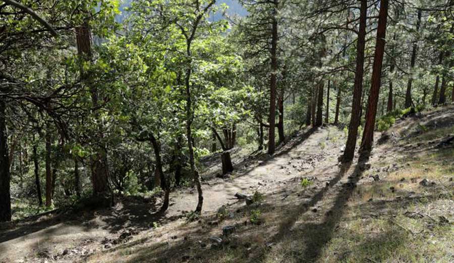 new-trail3-aa-rvt