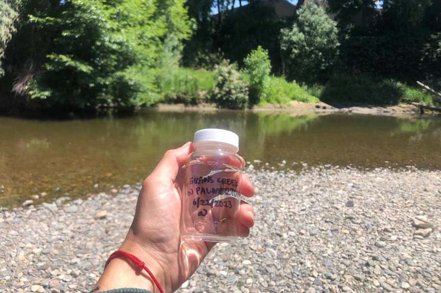 KS Wild water quality