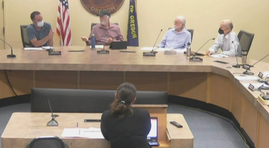 Ashland Parks & Recreation commissions deliberate at Wednesday's special meeting. Screen capture from RVTV video