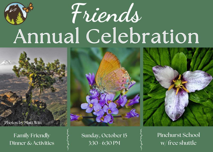 Annual Celebration Invitation (small file)