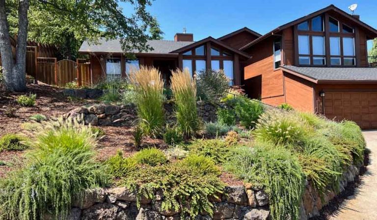 Homeowners Elysian Graham and Lou Martinez hired Banyan Tree Landscaping and landscape architect Lucretia Weems to redo their front yard. The couple handles maintenance themselves. Lou Martinez photo September 2023 Garden of the Month