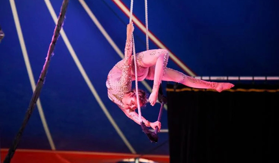 flynn-creek-circus-acrobat