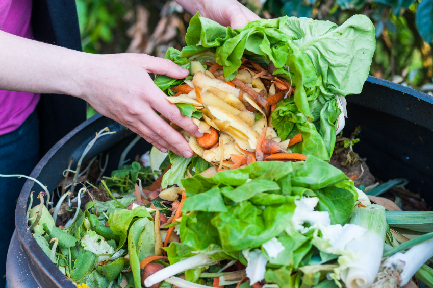 compost-to-the-bin