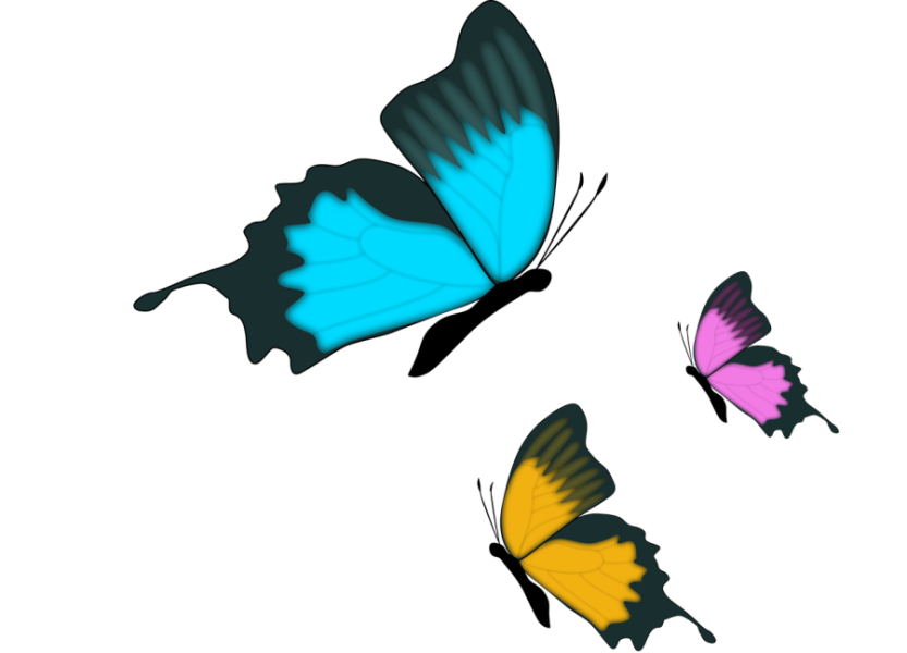 3.09 Pollinators
