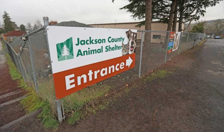 The Jackson County Animal Shelter along South Pacific Highway between Phoenix and Talent. Rogue Valley Times photo by Jamie Lusch