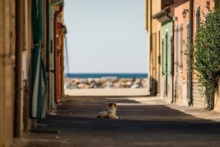 Image by Petr Ganaj from Pixabay Inner Peace