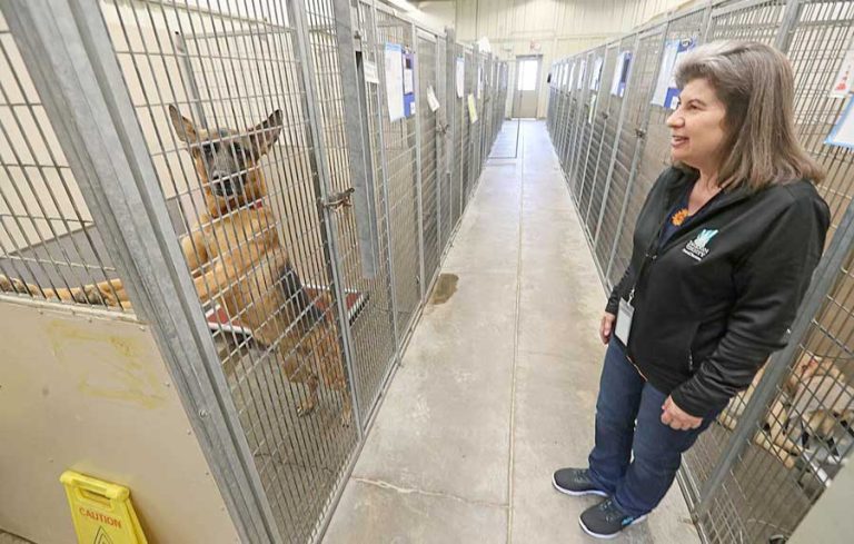Jody Sherry, the new manager of the Jackson County animal shelter, visits with dogs that are up for adoption at the shelter last Thursday. Rogue Valley Times photo by Jamie Lusch