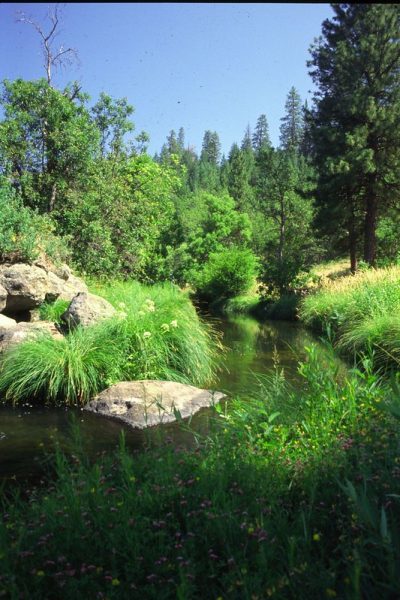 Saturday Hike – Aquatic Habitats & Species of the Monument