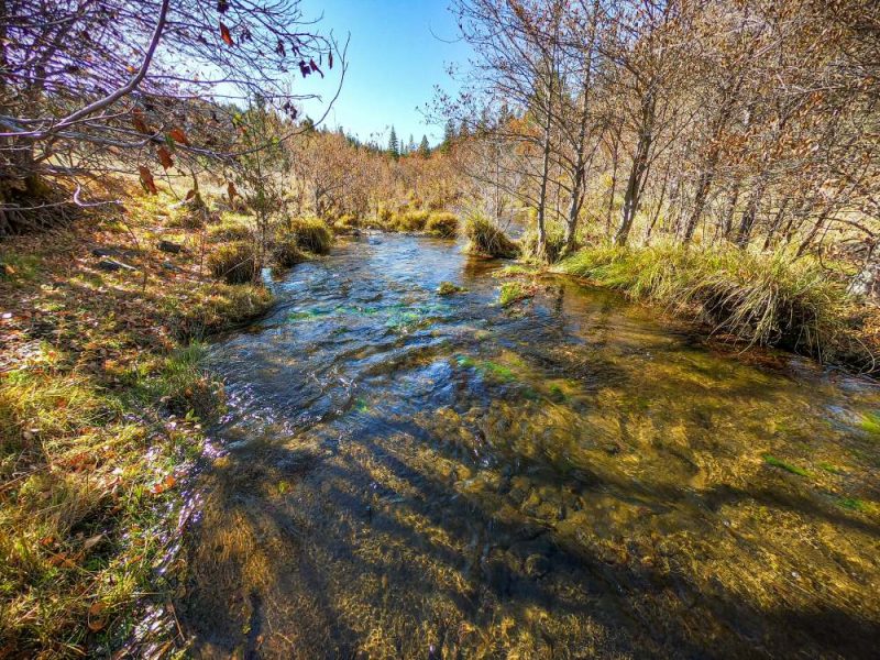Aquatic Species & Habitats of the Monument – Friday Night Talk