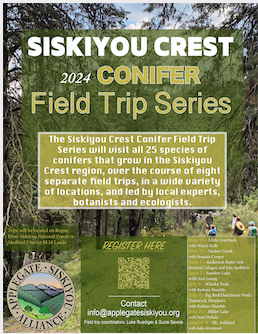 Siskiyou Crest Conifer Field Trip Series