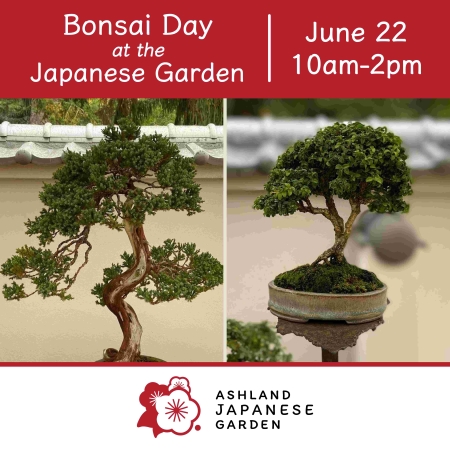 Bonsai Day at the Ashland Japanese Garden