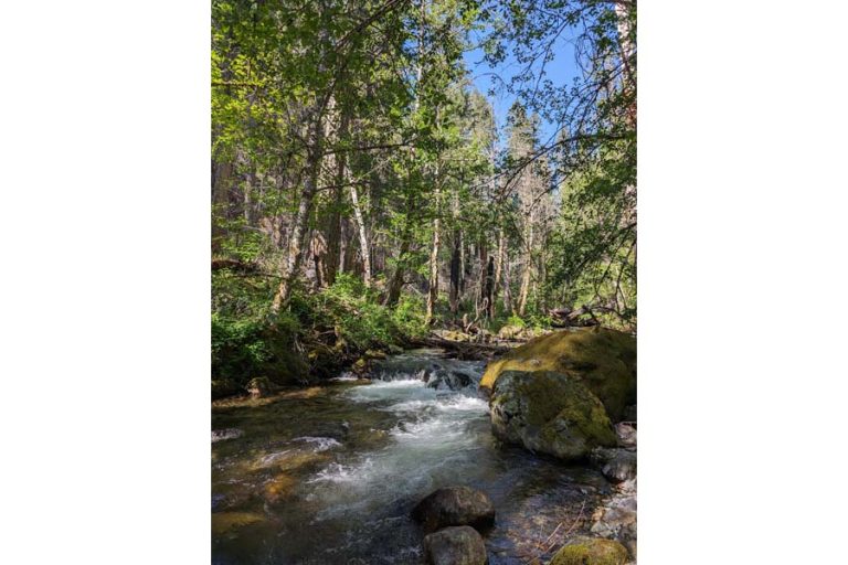 KS Wild hikes