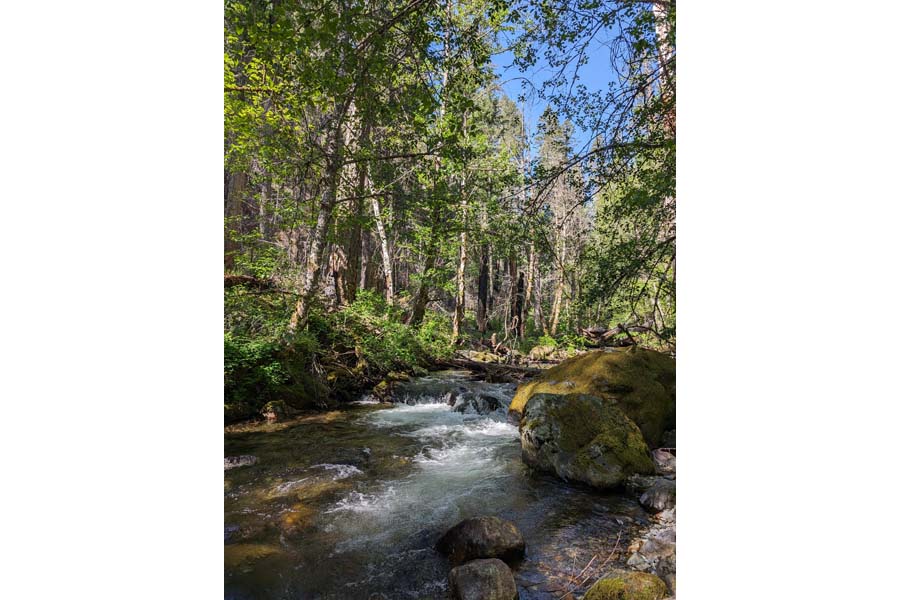 KS Wild hikes