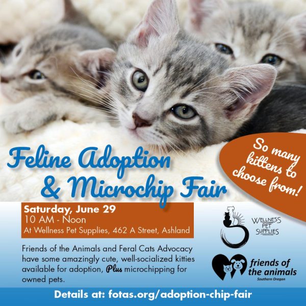 FOTAS Feline Adoption & Microchip Fair