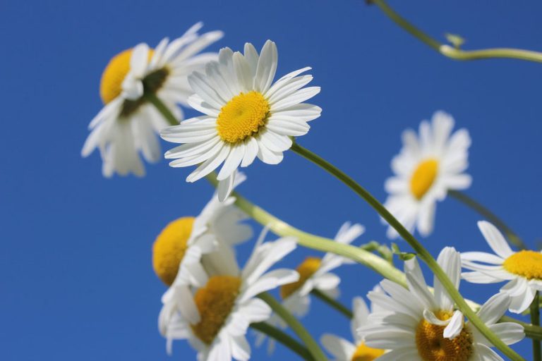 Image from pixabay.com.