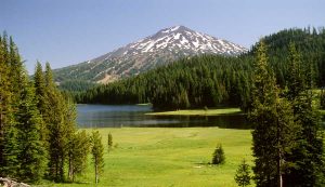 The Todd Lake area in Deschutes National Forest. Forest Service photo by Tom Iraci