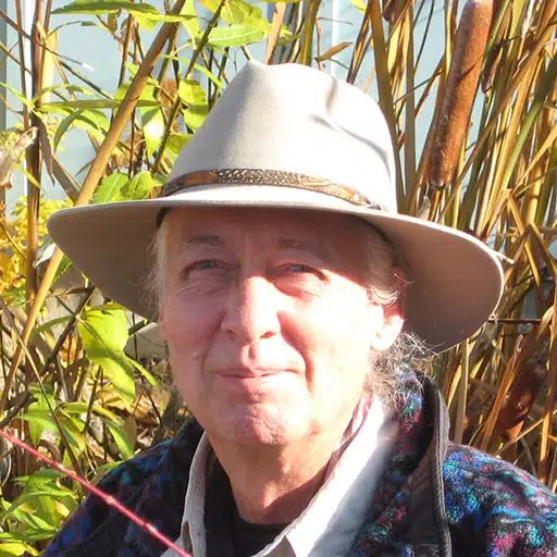 Social Forestry Presentation by author Tomi Hazel Vaarde