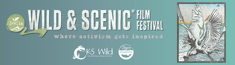 WSFF 2025 branded logo (1)