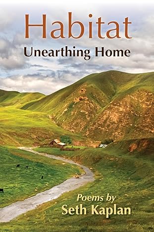 Poetry Reading with Seth Kaplan and Dan Kaufman