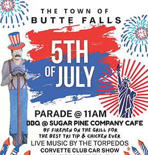 Red and Blue 5th Of July Celebration Event Flyer-4_small