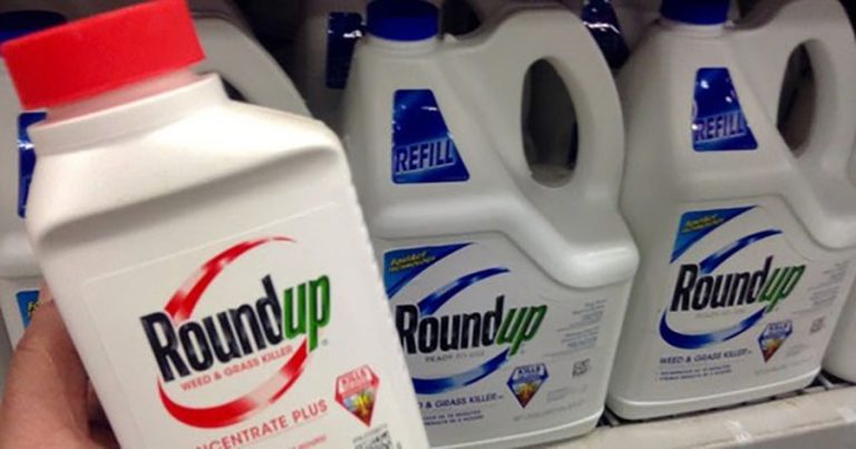 First introduced for commercial use by Monsanto in Roundup, glyphosate is the most widely used herbicide in the world. Image from GM-free Scotland