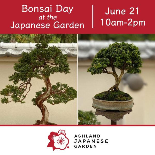 Bonsai Day at the Ashland Japanese Garden