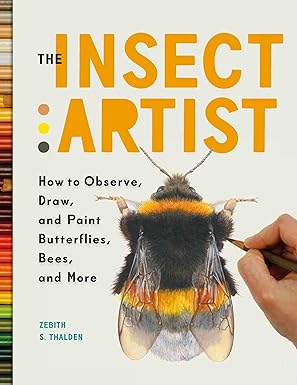 insect