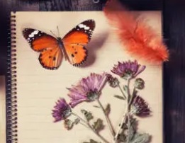 Intro to Nature Journaling Series: Focus on Mammals