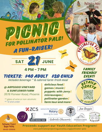 Picnic for Pollinator Pals