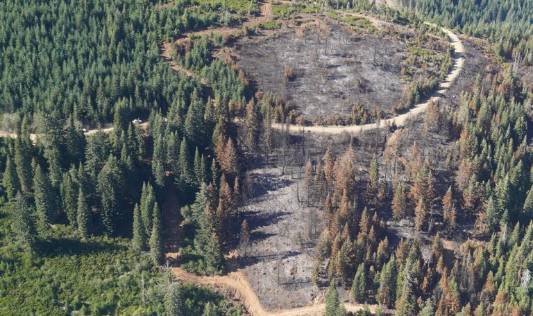 An aerial view of a burn area in Southwest Oregon. Oregon Department of Forestry photo.
