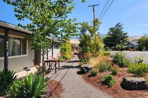 Neena Barreto bought her house on Glendower Street in 2021, and after having a row of maples removed, she worked with Plant Oregon to build a new look. Photo by Elizabeth Essex
