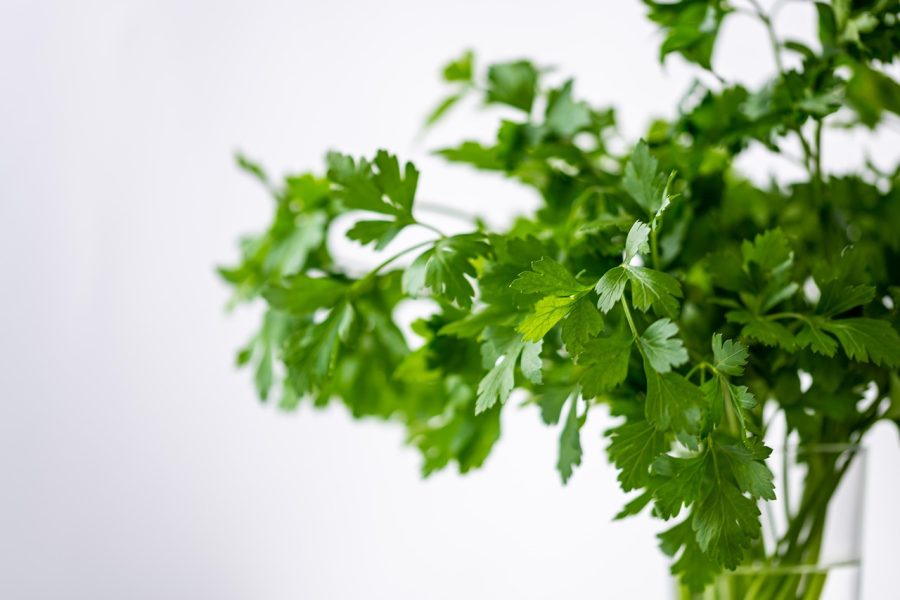 parsely-4688651_1280